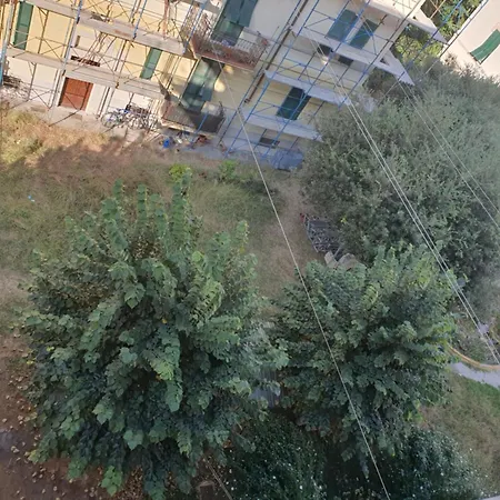 Domi Guest house
